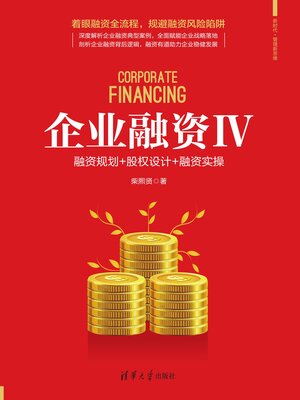 cover image of 企业融资Ⅳ